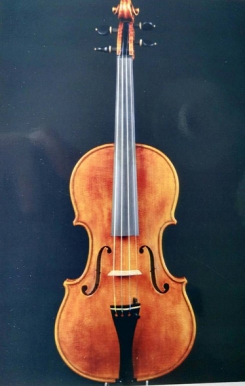 violino