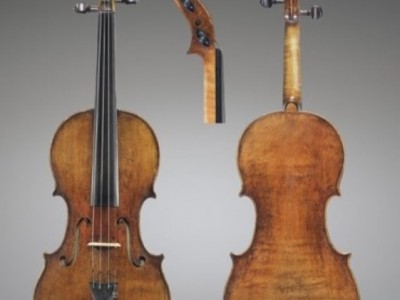 violoncello