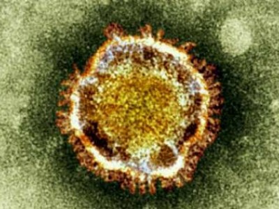 virus coronavirus