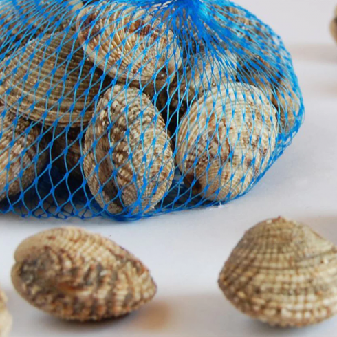 Vongole richiamate per rischio microbiologico, il Ministero della Salute lancia l'allarme